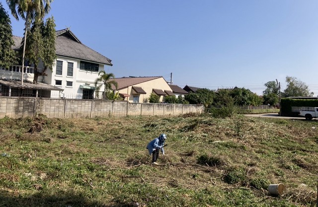 ประกาศฟรี! ซื้อ-ขาย-เช่า คอนโด บ้าน ทาวน์โฮม ที่ดิน และพื้นที่เชิงพาณิชย์ทั่วประเทศไทย ทุกทำเล ทุกงบประมาณ ไม่มีค่าใช้จ่าย ลงง่าย ขายไว เข้าถึงผู้ซื้อโดยตรง 5 291934pic4.jpg