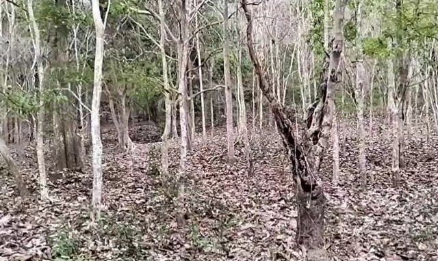 ประกาศฟรี! ซื้อ-ขาย-เช่า คอนโด บ้าน ทาวน์โฮม ที่ดิน และพื้นที่เชิงพาณิชย์ทั่วประเทศไทย ทุกทำเล ทุกงบประมาณ ไม่มีค่าใช้จ่าย ลงง่าย ขายไว เข้าถึงผู้ซื้อโดยตรง 4 291933pic3.jpg