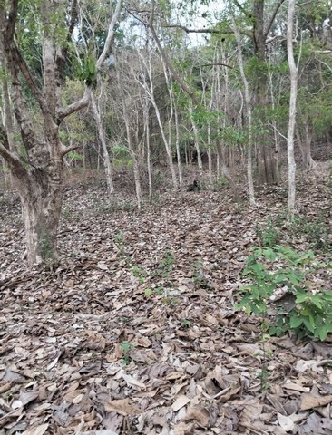 ประกาศฟรี! ซื้อ-ขาย-เช่า คอนโด บ้าน ทาวน์โฮม ที่ดิน และพื้นที่เชิงพาณิชย์ทั่วประเทศไทย ทุกทำเล ทุกงบประมาณ ไม่มีค่าใช้จ่าย ลงง่าย ขายไว เข้าถึงผู้ซื้อโดยตรง 5 291933pic4.jpg