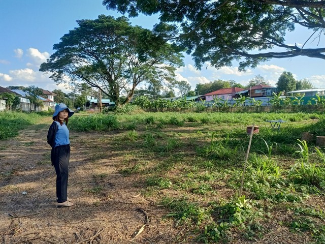 ประกาศฟรี! ซื้อ-ขาย-เช่า คอนโด บ้าน ทาวน์โฮม ที่ดิน และพื้นที่เชิงพาณิชย์ทั่วประเทศไทย ทุกทำเล ทุกงบประมาณ ไม่มีค่าใช้จ่าย ลงง่าย ขายไว เข้าถึงผู้ซื้อโดยตรง 2 224770pic1.jpg