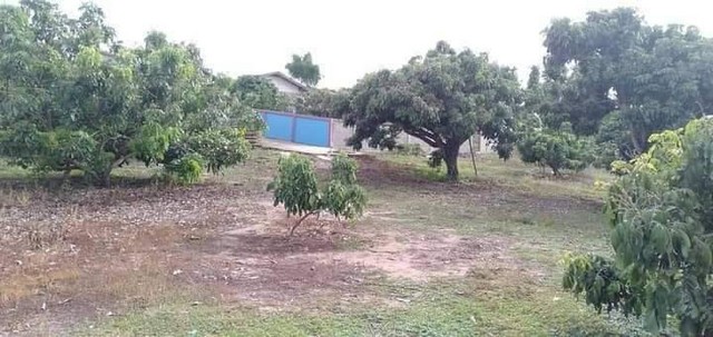 ประกาศฟรี! ซื้อ-ขาย-เช่า คอนโด บ้าน ทาวน์โฮม ที่ดิน และพื้นที่เชิงพาณิชย์ทั่วประเทศไทย ทุกทำเล ทุกงบประมาณ ไม่มีค่าใช้จ่าย ลงง่าย ขายไว เข้าถึงผู้ซื้อโดยตรง 2 224749pic1.jpg