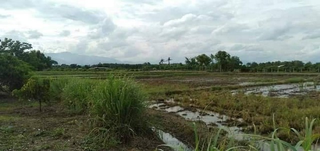 ประกาศฟรี! ซื้อ-ขาย-เช่า คอนโด บ้าน ทาวน์โฮม ที่ดิน และพื้นที่เชิงพาณิชย์ทั่วประเทศไทย ทุกทำเล ทุกงบประมาณ ไม่มีค่าใช้จ่าย ลงง่าย ขายไว เข้าถึงผู้ซื้อโดยตรง 3 224749pic2.jpg