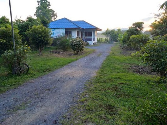 ประกาศฟรี! ซื้อ-ขาย-เช่า คอนโด บ้าน ทาวน์โฮม ที่ดิน และพื้นที่เชิงพาณิชย์ทั่วประเทศไทย ทุกทำเล ทุกงบประมาณ ไม่มีค่าใช้จ่าย ลงง่าย ขายไว เข้าถึงผู้ซื้อโดยตรง 2 224741pic1.jpg