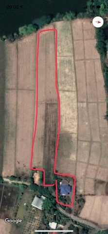 ประกาศฟรี! ซื้อ-ขาย-เช่า คอนโด บ้าน ทาวน์โฮม ที่ดิน และพื้นที่เชิงพาณิชย์ทั่วประเทศไทย ทุกทำเล ทุกงบประมาณ ไม่มีค่าใช้จ่าย ลงง่าย ขายไว เข้าถึงผู้ซื้อโดยตรง 3 224741pic2.jpg