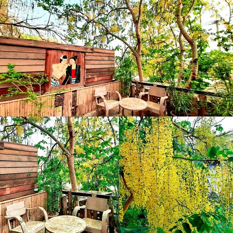 ประกาศฟรี! ซื้อ-ขาย-เช่า คอนโด บ้าน ทาวน์โฮม ที่ดิน และพื้นที่เชิงพาณิชย์ทั่วประเทศไทย ทุกทำเล ทุกงบประมาณ ไม่มีค่าใช้จ่าย ลงง่าย ขายไว เข้าถึงผู้ซื้อโดยตรง 4 224740pic3.jpg