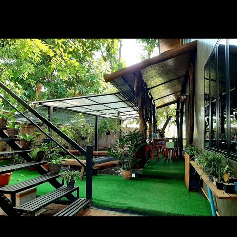 ประกาศฟรี! ซื้อ-ขาย-เช่า คอนโด บ้าน ทาวน์โฮม ที่ดิน และพื้นที่เชิงพาณิชย์ทั่วประเทศไทย ทุกทำเล ทุกงบประมาณ ไม่มีค่าใช้จ่าย ลงง่าย ขายไว เข้าถึงผู้ซื้อโดยตรง 5 224740pic4.jpg