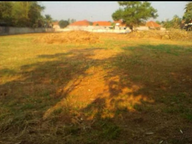 ประกาศฟรี! ซื้อ-ขาย-เช่า คอนโด บ้าน ทาวน์โฮม ที่ดิน และพื้นที่เชิงพาณิชย์ทั่วประเทศไทย ทุกทำเล ทุกงบประมาณ ไม่มีค่าใช้จ่าย ลงง่าย ขายไว เข้าถึงผู้ซื้อโดยตรง 2 224739pic1.jpg