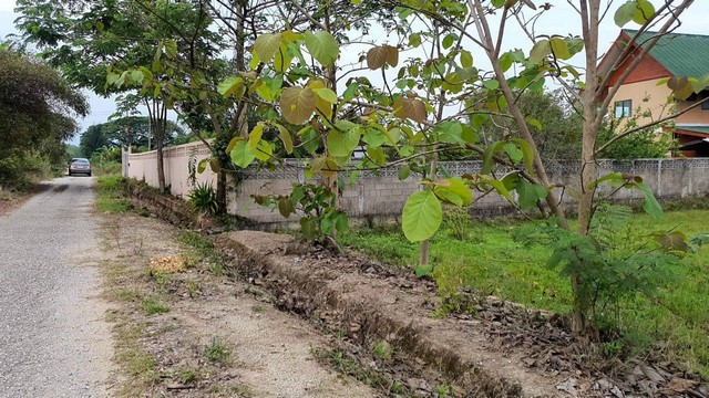 ประกาศฟรี! ซื้อ-ขาย-เช่า คอนโด บ้าน ทาวน์โฮม ที่ดิน และพื้นที่เชิงพาณิชย์ทั่วประเทศไทย ทุกทำเล ทุกงบประมาณ ไม่มีค่าใช้จ่าย ลงง่าย ขายไว เข้าถึงผู้ซื้อโดยตรง 2 224733pic1.jpg