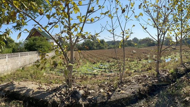 ประกาศฟรี! ซื้อ-ขาย-เช่า คอนโด บ้าน ทาวน์โฮม ที่ดิน และพื้นที่เชิงพาณิชย์ทั่วประเทศไทย ทุกทำเล ทุกงบประมาณ ไม่มีค่าใช้จ่าย ลงง่าย ขายไว เข้าถึงผู้ซื้อโดยตรง 4 224733pic3.jpg