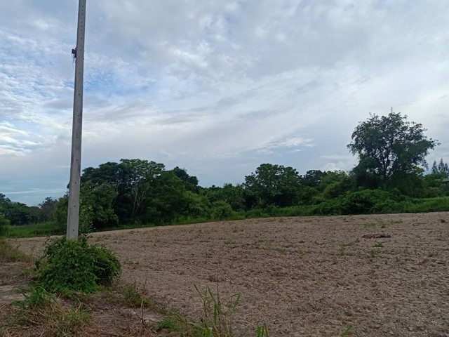 ประกาศฟรี! ซื้อ-ขาย-เช่า คอนโด บ้าน ทาวน์โฮม ที่ดิน และพื้นที่เชิงพาณิชย์ทั่วประเทศไทย ทุกทำเล ทุกงบประมาณ ไม่มีค่าใช้จ่าย ลงง่าย ขายไว เข้าถึงผู้ซื้อโดยตรง 4 293503pic3.jpg