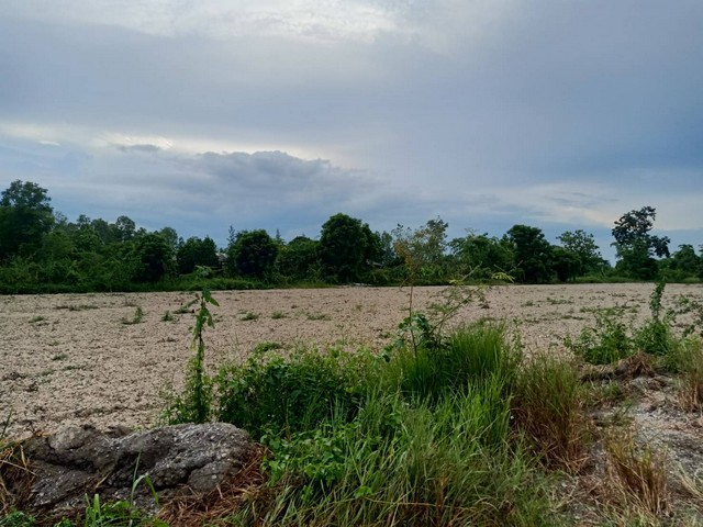 ประกาศฟรี! ซื้อ-ขาย-เช่า คอนโด บ้าน ทาวน์โฮม ที่ดิน และพื้นที่เชิงพาณิชย์ทั่วประเทศไทย ทุกทำเล ทุกงบประมาณ ไม่มีค่าใช้จ่าย ลงง่าย ขายไว เข้าถึงผู้ซื้อโดยตรง 5 293503pic4.jpg