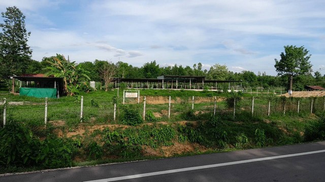 ประกาศฟรี! ซื้อ-ขาย-เช่า คอนโด บ้าน ทาวน์โฮม ที่ดิน และพื้นที่เชิงพาณิชย์ทั่วประเทศไทย ทุกทำเล ทุกงบประมาณ ไม่มีค่าใช้จ่าย ลงง่าย ขายไว เข้าถึงผู้ซื้อโดยตรง 2 293500pic1.jpg