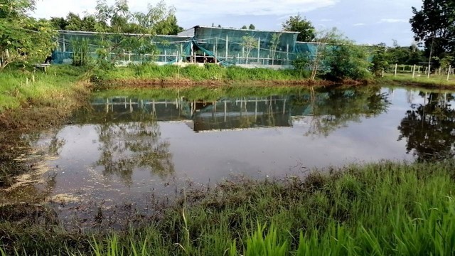 ประกาศฟรี! ซื้อ-ขาย-เช่า คอนโด บ้าน ทาวน์โฮม ที่ดิน และพื้นที่เชิงพาณิชย์ทั่วประเทศไทย ทุกทำเล ทุกงบประมาณ ไม่มีค่าใช้จ่าย ลงง่าย ขายไว เข้าถึงผู้ซื้อโดยตรง 3 293500pic2.jpg