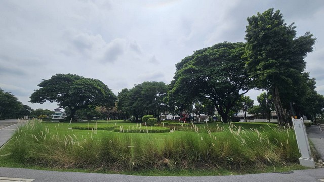 ประกาศฟรี! ซื้อ-ขาย-เช่า คอนโด บ้าน ทาวน์โฮม ที่ดิน และพื้นที่เชิงพาณิชย์ทั่วประเทศไทย ทุกทำเล ทุกงบประมาณ ไม่มีค่าใช้จ่าย ลงง่าย ขายไว เข้าถึงผู้ซื้อโดยตรง 3 293476pic2.jpg