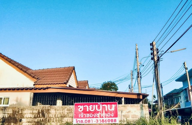 ประกาศฟรี! ซื้อ-ขาย-เช่า คอนโด บ้าน ทาวน์โฮม ที่ดิน และพื้นที่เชิงพาณิชย์ทั่วประเทศไทย ทุกทำเล ทุกงบประมาณ ไม่มีค่าใช้จ่าย ลงง่าย ขายไว เข้าถึงผู้ซื้อโดยตรง 2 247538pic1.jpg