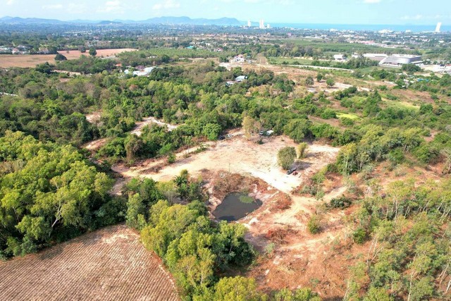 ประกาศฟรี! ซื้อ-ขาย-เช่า คอนโด บ้าน ทาวน์โฮม ที่ดิน และพื้นที่เชิงพาณิชย์ทั่วประเทศไทย ทุกทำเล ทุกงบประมาณ ไม่มีค่าใช้จ่าย ลงง่าย ขายไว เข้าถึงผู้ซื้อโดยตรง 3 247544pic2.jpg