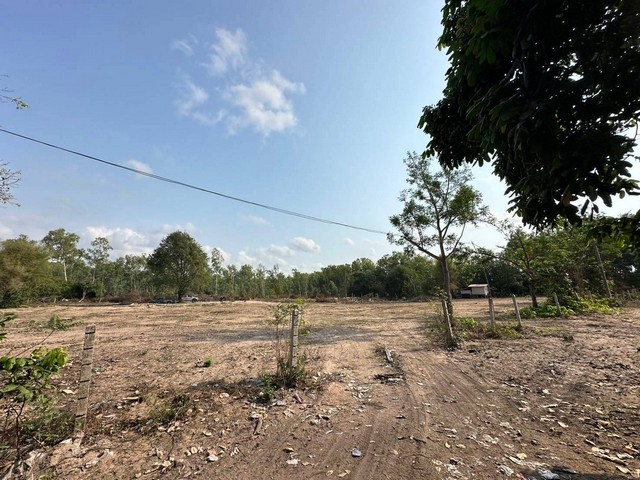 ประกาศฟรี! ซื้อ-ขาย-เช่า คอนโด บ้าน ทาวน์โฮม ที่ดิน และพื้นที่เชิงพาณิชย์ทั่วประเทศไทย ทุกทำเล ทุกงบประมาณ ไม่มีค่าใช้จ่าย ลงง่าย ขายไว เข้าถึงผู้ซื้อโดยตรง 5 247544pic4.jpg