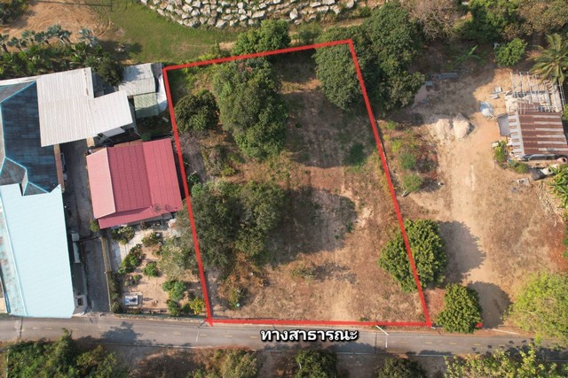 ประกาศฟรี! ซื้อ-ขาย-เช่า คอนโด บ้าน ทาวน์โฮม ที่ดิน และพื้นที่เชิงพาณิชย์ทั่วประเทศไทย ทุกทำเล ทุกงบประมาณ ไม่มีค่าใช้จ่าย ลงง่าย ขายไว เข้าถึงผู้ซื้อโดยตรง 4 247542pic3.jpg