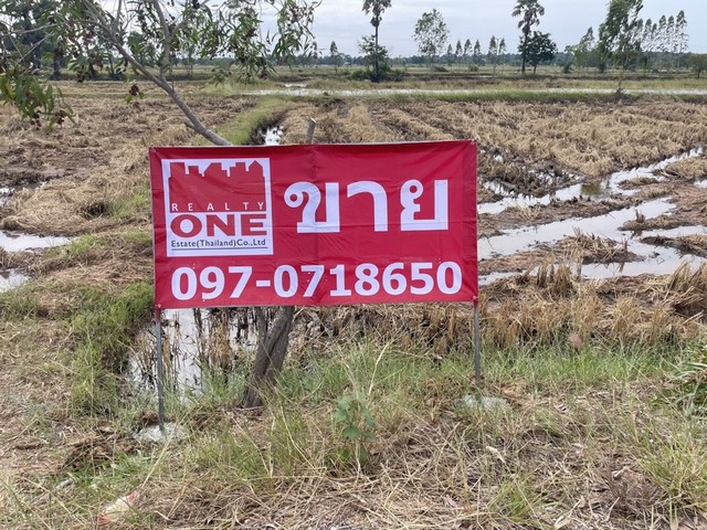 ประกาศฟรี! ซื้อ-ขาย-เช่า คอนโด บ้าน ทาวน์โฮม ที่ดิน และพื้นที่เชิงพาณิชย์ทั่วประเทศไทย ทุกทำเล ทุกงบประมาณ ไม่มีค่าใช้จ่าย ลงง่าย ขายไว เข้าถึงผู้ซื้อโดยตรง 2 313132pic1.jpg