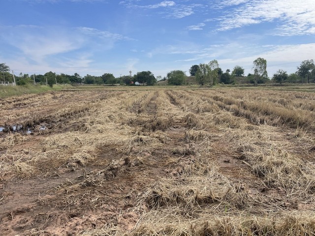 ประกาศฟรี! ซื้อ-ขาย-เช่า คอนโด บ้าน ทาวน์โฮม ที่ดิน และพื้นที่เชิงพาณิชย์ทั่วประเทศไทย ทุกทำเล ทุกงบประมาณ ไม่มีค่าใช้จ่าย ลงง่าย ขายไว เข้าถึงผู้ซื้อโดยตรง 4 313132pic3.jpg