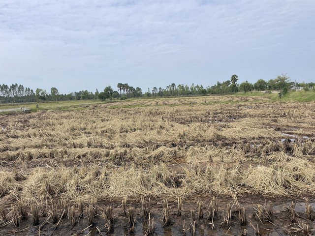 ประกาศฟรี! ซื้อ-ขาย-เช่า คอนโด บ้าน ทาวน์โฮม ที่ดิน และพื้นที่เชิงพาณิชย์ทั่วประเทศไทย ทุกทำเล ทุกงบประมาณ ไม่มีค่าใช้จ่าย ลงง่าย ขายไว เข้าถึงผู้ซื้อโดยตรง 5 313132pic4.jpg