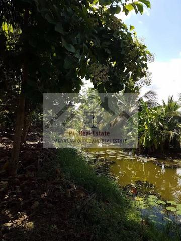 ประกาศฟรี! ซื้อ-ขาย-เช่า คอนโด บ้าน ทาวน์โฮม ที่ดิน และพื้นที่เชิงพาณิชย์ทั่วประเทศไทย ทุกทำเล ทุกงบประมาณ ไม่มีค่าใช้จ่าย ลงง่าย ขายไว เข้าถึงผู้ซื้อโดยตรง 5 508624pic4.jpg