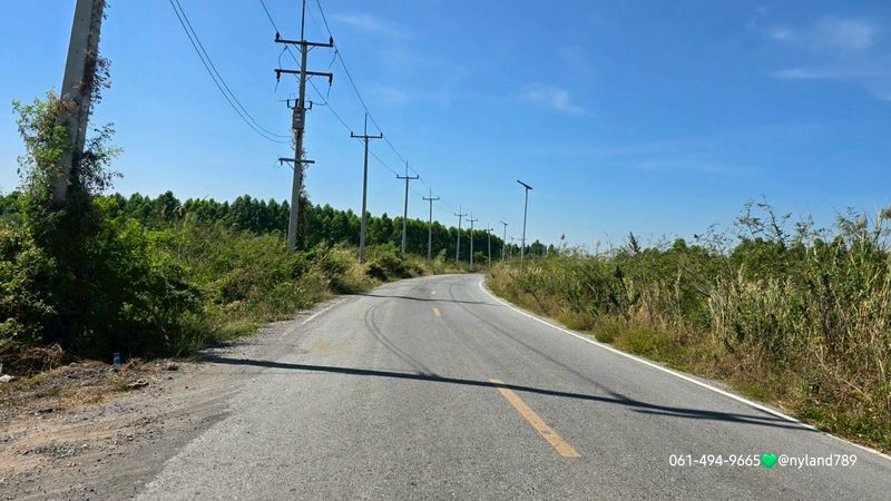 ประกาศฟรี! ซื้อ-ขาย-เช่า คอนโด บ้าน ทาวน์โฮม ที่ดิน และพื้นที่เชิงพาณิชย์ทั่วประเทศไทย ทุกทำเล ทุกงบประมาณ ไม่มีค่าใช้จ่าย ลงง่าย ขายไว เข้าถึงผู้ซื้อโดยตรง 2 509748pic1.jpg