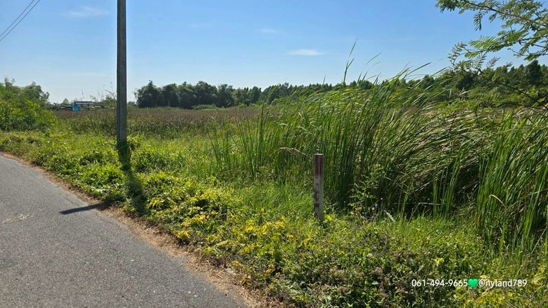 ประกาศฟรี! ซื้อ-ขาย-เช่า คอนโด บ้าน ทาวน์โฮม ที่ดิน และพื้นที่เชิงพาณิชย์ทั่วประเทศไทย ทุกทำเล ทุกงบประมาณ ไม่มีค่าใช้จ่าย ลงง่าย ขายไว เข้าถึงผู้ซื้อโดยตรง 5 509748pic4.jpg