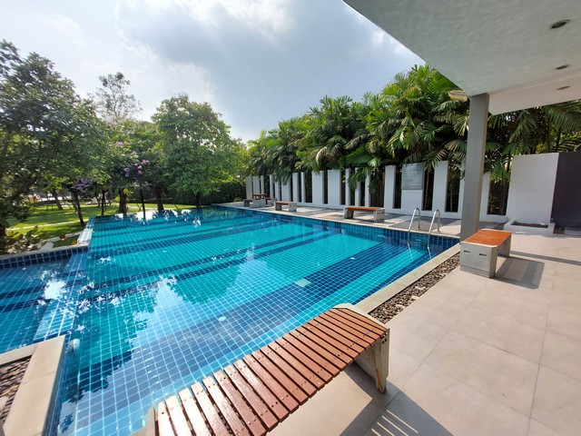 ประกาศฟรี! ซื้อ-ขาย-เช่า คอนโด บ้าน ทาวน์โฮม ที่ดิน และพื้นที่เชิงพาณิชย์ทั่วประเทศไทย ทุกทำเล ทุกงบประมาณ ไม่มีค่าใช้จ่าย ลงง่าย ขายไว เข้าถึงผู้ซื้อโดยตรง 2 311906pic1.jpg