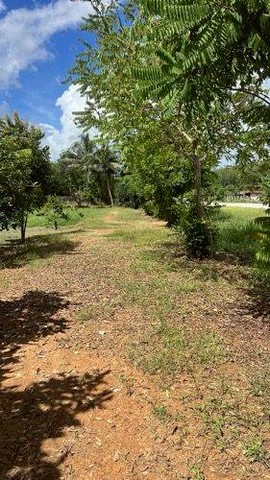 ประกาศฟรี! ซื้อ-ขาย-เช่า คอนโด บ้าน ทาวน์โฮม ที่ดิน และพื้นที่เชิงพาณิชย์ทั่วประเทศไทย ทุกทำเล ทุกงบประมาณ ไม่มีค่าใช้จ่าย ลงง่าย ขายไว เข้าถึงผู้ซื้อโดยตรง 2 245611pic1.jpg