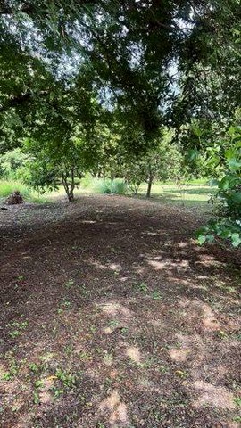 ประกาศฟรี! ซื้อ-ขาย-เช่า คอนโด บ้าน ทาวน์โฮม ที่ดิน และพื้นที่เชิงพาณิชย์ทั่วประเทศไทย ทุกทำเล ทุกงบประมาณ ไม่มีค่าใช้จ่าย ลงง่าย ขายไว เข้าถึงผู้ซื้อโดยตรง 5 245611pic4.jpg