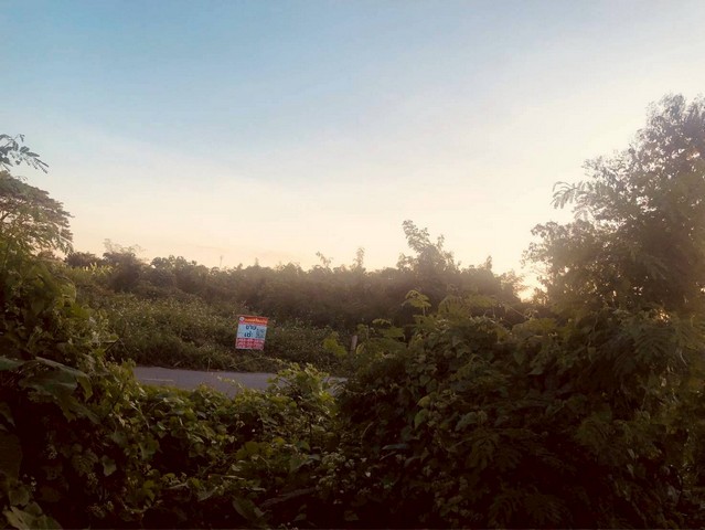 ประกาศฟรี! ซื้อ-ขาย-เช่า คอนโด บ้าน ทาวน์โฮม ที่ดิน และพื้นที่เชิงพาณิชย์ทั่วประเทศไทย ทุกทำเล ทุกงบประมาณ ไม่มีค่าใช้จ่าย ลงง่าย ขายไว เข้าถึงผู้ซื้อโดยตรง 3 245609pic2.jpg