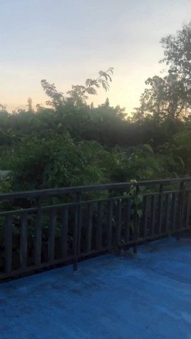 ประกาศฟรี! ซื้อ-ขาย-เช่า คอนโด บ้าน ทาวน์โฮม ที่ดิน และพื้นที่เชิงพาณิชย์ทั่วประเทศไทย ทุกทำเล ทุกงบประมาณ ไม่มีค่าใช้จ่าย ลงง่าย ขายไว เข้าถึงผู้ซื้อโดยตรง 4 245609pic3.jpg