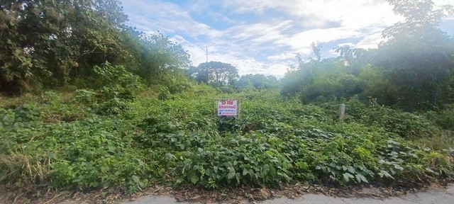 ประกาศฟรี! ซื้อ-ขาย-เช่า คอนโด บ้าน ทาวน์โฮม ที่ดิน และพื้นที่เชิงพาณิชย์ทั่วประเทศไทย ทุกทำเล ทุกงบประมาณ ไม่มีค่าใช้จ่าย ลงง่าย ขายไว เข้าถึงผู้ซื้อโดยตรง 2 245606pic1.jpg