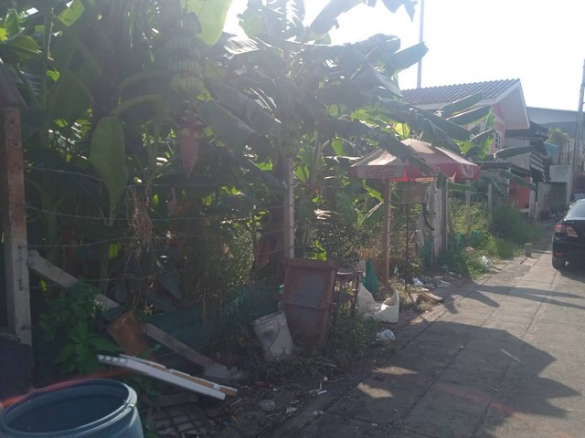 ประกาศฟรี! ซื้อ-ขาย-เช่า คอนโด บ้าน ทาวน์โฮม ที่ดิน และพื้นที่เชิงพาณิชย์ทั่วประเทศไทย ทุกทำเล ทุกงบประมาณ ไม่มีค่าใช้จ่าย ลงง่าย ขายไว เข้าถึงผู้ซื้อโดยตรง 5 271884pic4.jpg