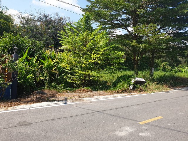 ประกาศฟรี! ซื้อ-ขาย-เช่า คอนโด บ้าน ทาวน์โฮม ที่ดิน และพื้นที่เชิงพาณิชย์ทั่วประเทศไทย ทุกทำเล ทุกงบประมาณ ไม่มีค่าใช้จ่าย ลงง่าย ขายไว เข้าถึงผู้ซื้อโดยตรง 3 13906pic2.jpg