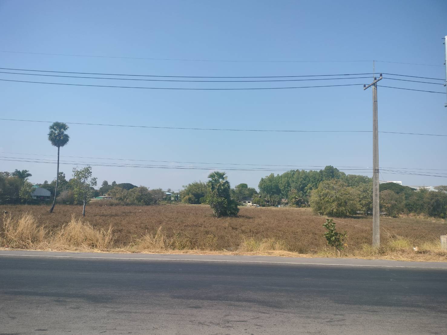 ประกาศฟรี! ซื้อ-ขาย-เช่า คอนโด บ้าน ทาวน์โฮม ที่ดิน และพื้นที่เชิงพาณิชย์ทั่วประเทศไทย ทุกทำเล ทุกงบประมาณ ไม่มีค่าใช้จ่าย ลงง่าย ขายไว เข้าถึงผู้ซื้อโดยตรง 4 313155pic3.jpg