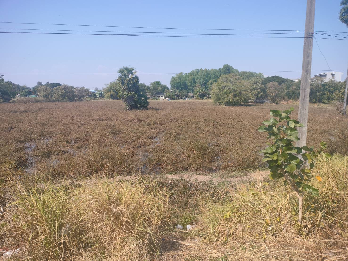 ประกาศฟรี! ซื้อ-ขาย-เช่า คอนโด บ้าน ทาวน์โฮม ที่ดิน และพื้นที่เชิงพาณิชย์ทั่วประเทศไทย ทุกทำเล ทุกงบประมาณ ไม่มีค่าใช้จ่าย ลงง่าย ขายไว เข้าถึงผู้ซื้อโดยตรง 5 313155pic4.jpg