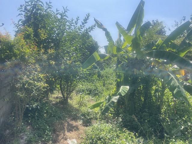 ประกาศฟรี! ซื้อ-ขาย-เช่า คอนโด บ้าน ทาวน์โฮม ที่ดิน และพื้นที่เชิงพาณิชย์ทั่วประเทศไทย ทุกทำเล ทุกงบประมาณ ไม่มีค่าใช้จ่าย ลงง่าย ขายไว เข้าถึงผู้ซื้อโดยตรง 2 313212pic1.jpg