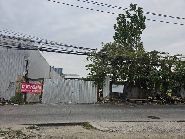 ประกาศฟรี! ซื้อ-ขาย-เช่า คอนโด บ้าน ทาวน์โฮม ที่ดิน และพื้นที่เชิงพาณิชย์ทั่วประเทศไทย ทุกทำเล ทุกงบประมาณ ไม่มีค่าใช้จ่าย ลงง่าย ขายไว เข้าถึงผู้ซื้อโดยตรง 5 313204pic4.jpg