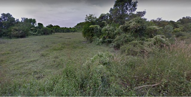 ประกาศฟรี! ซื้อ-ขาย-เช่า คอนโด บ้าน ทาวน์โฮม ที่ดิน และพื้นที่เชิงพาณิชย์ทั่วประเทศไทย ทุกทำเล ทุกงบประมาณ ไม่มีค่าใช้จ่าย ลงง่าย ขายไว เข้าถึงผู้ซื้อโดยตรง 2 498088pic1.jpg