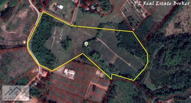 ประกาศฟรี! ซื้อ-ขาย-เช่า คอนโด บ้าน ทาวน์โฮม ที่ดิน และพื้นที่เชิงพาณิชย์ทั่วประเทศไทย ทุกทำเล ทุกงบประมาณ ไม่มีค่าใช้จ่าย ลงง่าย ขายไว เข้าถึงผู้ซื้อโดยตรง 3 498088pic2.jpg