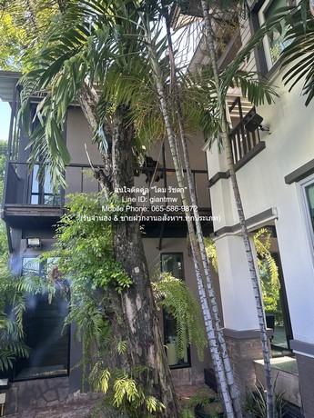 ประกาศฟรี! ซื้อ-ขาย-เช่า คอนโด บ้าน ทาวน์โฮม ที่ดิน และพื้นที่เชิงพาณิชย์ทั่วประเทศไทย ทุกทำเล ทุกงบประมาณ ไม่มีค่าใช้จ่าย ลงง่าย ขายไว เข้าถึงผู้ซื้อโดยตรง 4 282681pic3.jpg