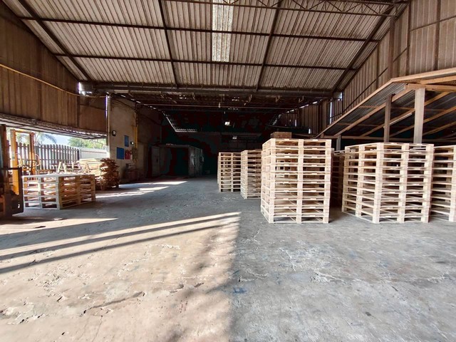 ประกาศฟรี! ซื้อ-ขาย-เช่า คอนโด บ้าน ทาวน์โฮม ที่ดิน และพื้นที่เชิงพาณิชย์ทั่วประเทศไทย ทุกทำเล ทุกงบประมาณ ไม่มีค่าใช้จ่าย ลงง่าย ขายไว เข้าถึงผู้ซื้อโดยตรง 4 313274pic3.jpg