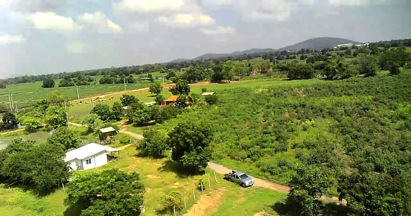 ประกาศฟรี! ซื้อ-ขาย-เช่า คอนโด บ้าน ทาวน์โฮม ที่ดิน และพื้นที่เชิงพาณิชย์ทั่วประเทศไทย ทุกทำเล ทุกงบประมาณ ไม่มีค่าใช้จ่าย ลงง่าย ขายไว เข้าถึงผู้ซื้อโดยตรง 5 313307pic4.jpg