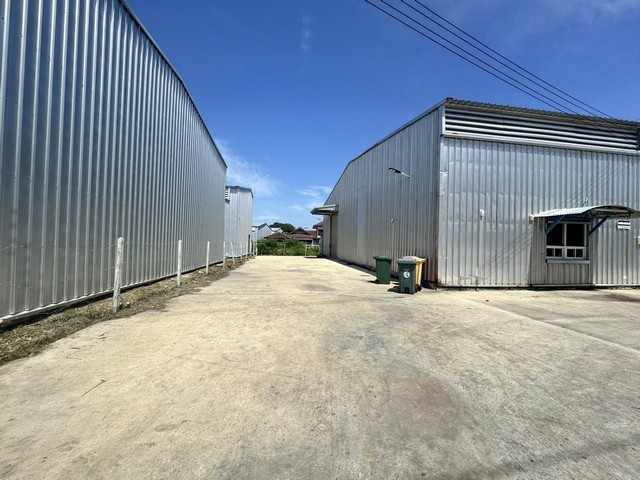 ประกาศฟรี! ซื้อ-ขาย-เช่า คอนโด บ้าน ทาวน์โฮม ที่ดิน และพื้นที่เชิงพาณิชย์ทั่วประเทศไทย ทุกทำเล ทุกงบประมาณ ไม่มีค่าใช้จ่าย ลงง่าย ขายไว เข้าถึงผู้ซื้อโดยตรง 3 510247pic2.jpg