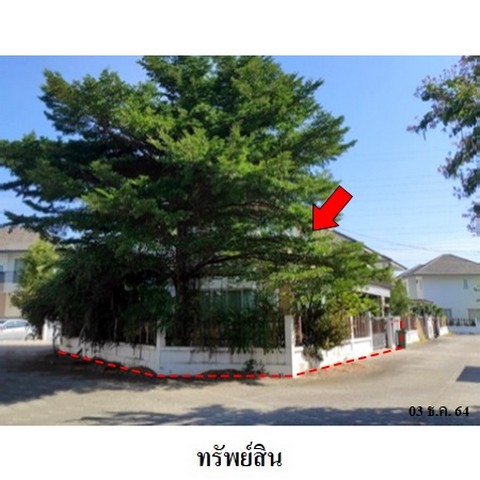 ประกาศฟรี! ซื้อ-ขาย-เช่า คอนโด บ้าน ทาวน์โฮม ที่ดิน และพื้นที่เชิงพาณิชย์ทั่วประเทศไทย ทุกทำเล ทุกงบประมาณ ไม่มีค่าใช้จ่าย ลงง่าย ขายไว เข้าถึงผู้ซื้อโดยตรง 4 235752pic3.jpg