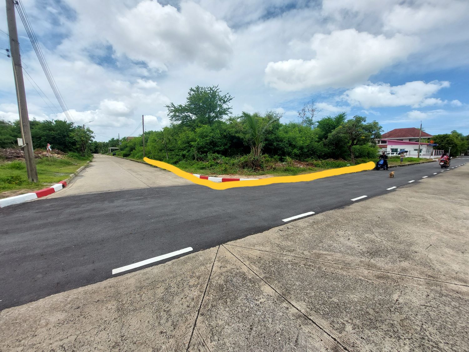 ประกาศฟรี! ซื้อ-ขาย-เช่า คอนโด บ้าน ทาวน์โฮม ที่ดิน และพื้นที่เชิงพาณิชย์ทั่วประเทศไทย ทุกทำเล ทุกงบประมาณ ไม่มีค่าใช้จ่าย ลงง่าย ขายไว เข้าถึงผู้ซื้อโดยตรง 3 313380pic2.jpg