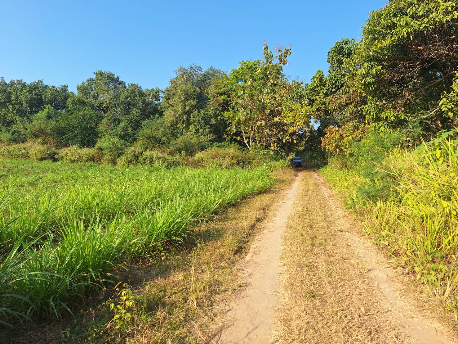 ประกาศฟรี! ซื้อ-ขาย-เช่า คอนโด บ้าน ทาวน์โฮม ที่ดิน และพื้นที่เชิงพาณิชย์ทั่วประเทศไทย ทุกทำเล ทุกงบประมาณ ไม่มีค่าใช้จ่าย ลงง่าย ขายไว เข้าถึงผู้ซื้อโดยตรง 4 293579pic3.jpg