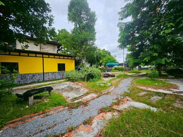 ประกาศฟรี! ซื้อ-ขาย-เช่า คอนโด บ้าน ทาวน์โฮม ที่ดิน และพื้นที่เชิงพาณิชย์ทั่วประเทศไทย ทุกทำเล ทุกงบประมาณ ไม่มีค่าใช้จ่าย ลงง่าย ขายไว เข้าถึงผู้ซื้อโดยตรง 5 313359pic4.jpg